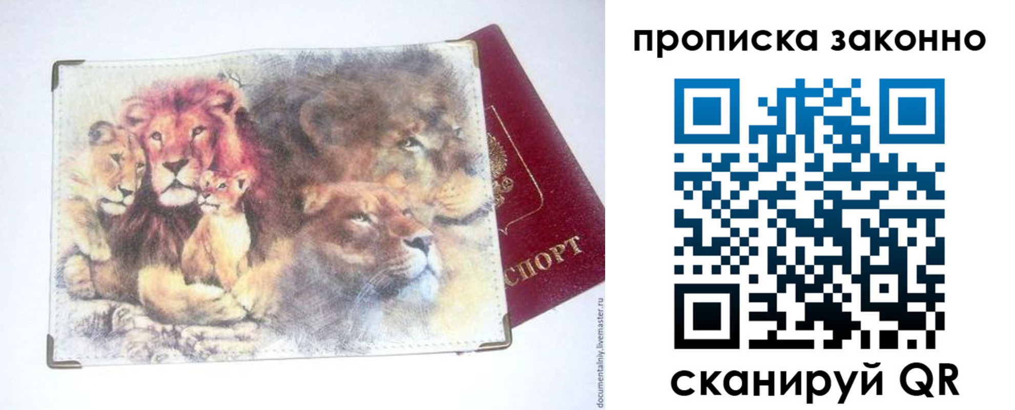 прописка от собственника в Светлогорске