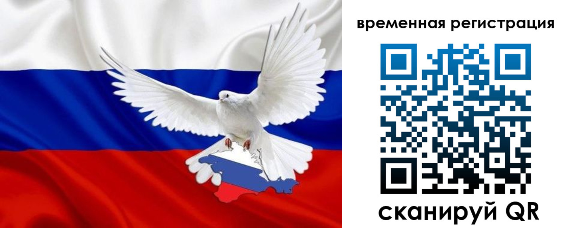 прописка законно в Светлогорске