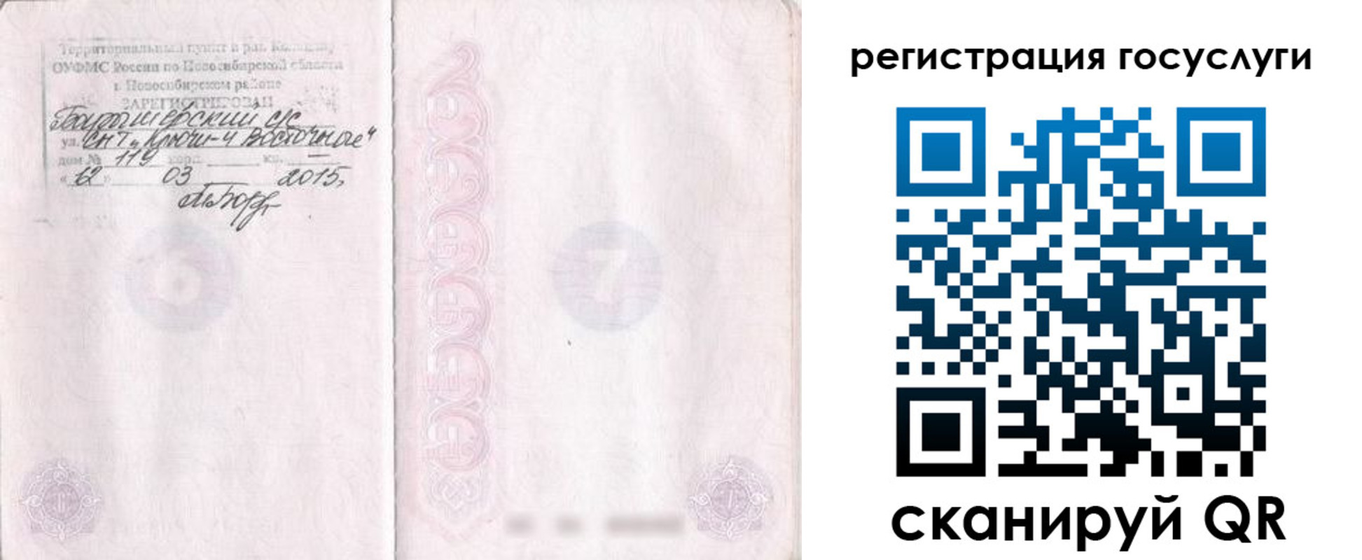 прописка для школы в Светлогорске